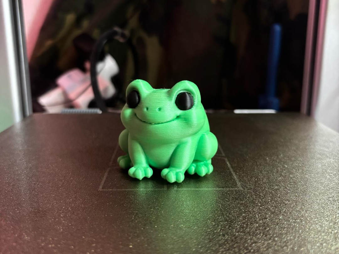 Mini Sapo Fofo: O Toque de Encanto Natureza que seu Espaço Precisa