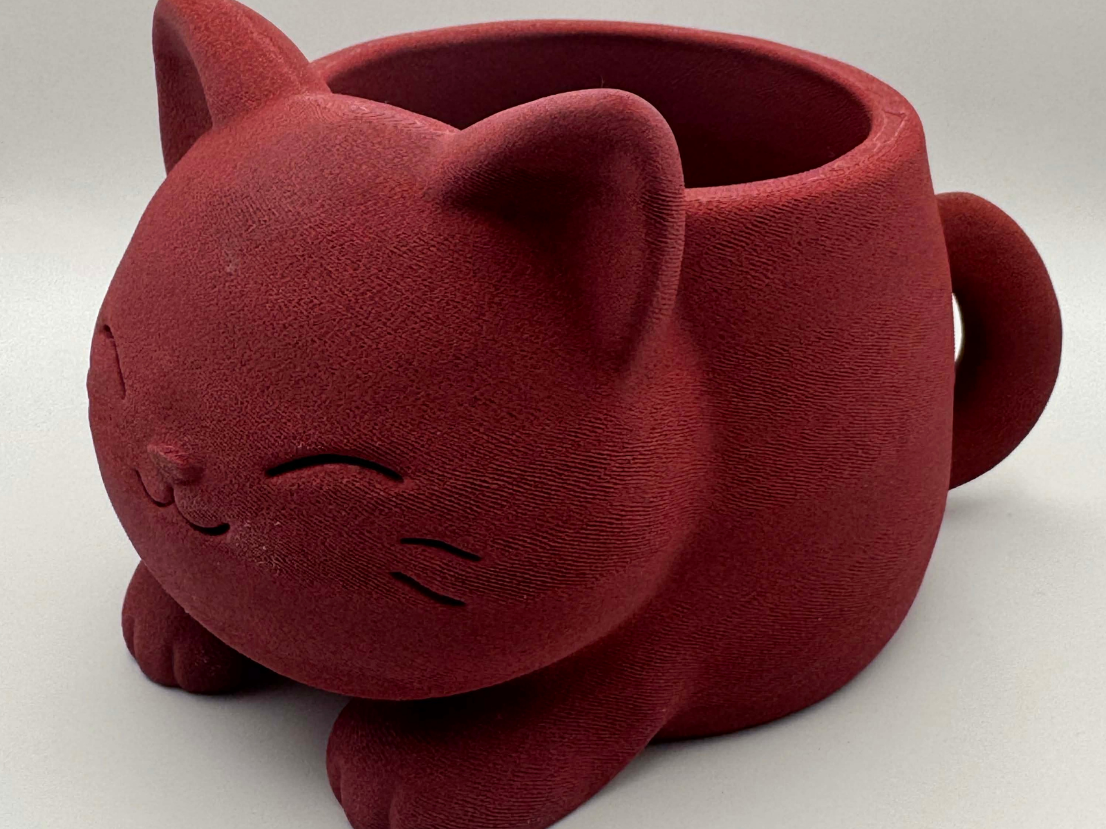 Vaso de Gato: A Dose de Fofura que faltava para as suas Plantas
